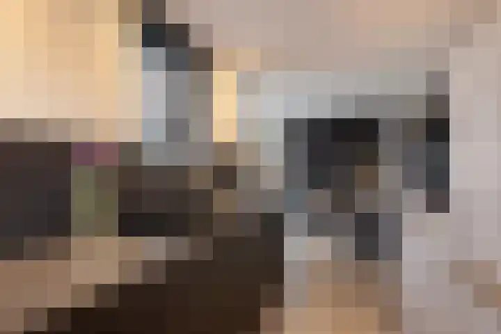Wittemerslag 10 Wijhe thumbnail 15