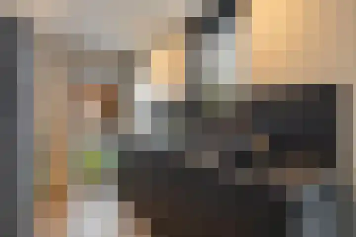 Wittemerslag 10 Wijhe thumbnail 16