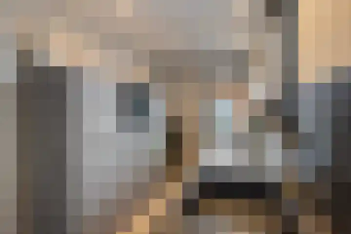 Wittemerslag 10 Wijhe thumbnail 17