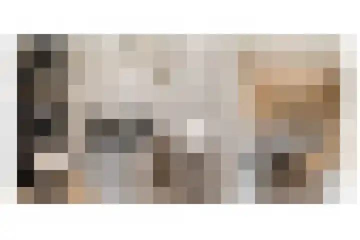 Wittemerslag 10 Wijhe thumbnail 18