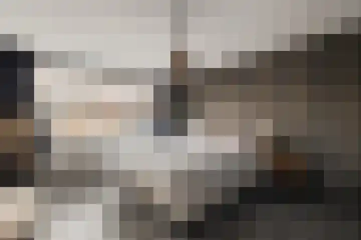 Wittemerslag 10 Wijhe thumbnail 19