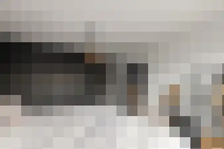Wittemerslag 10 Wijhe thumbnail 20