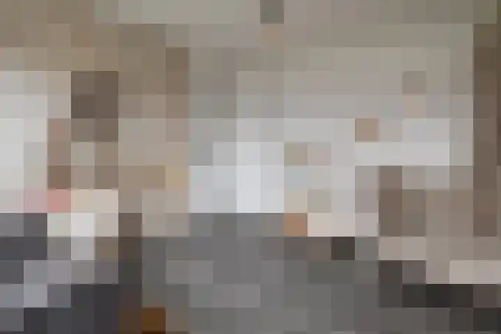 Wittemerslag 10 Wijhe thumbnail 23