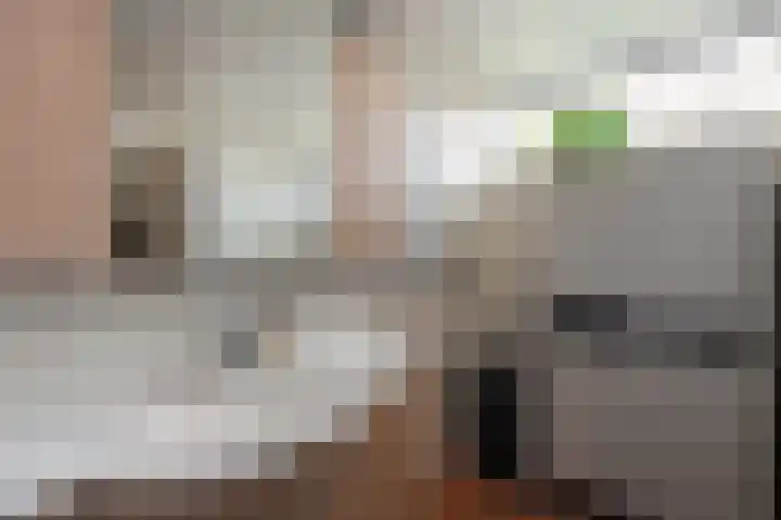 Wittemerslag 10 Wijhe thumbnail 24