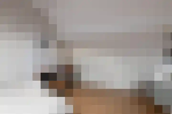 Wittemerslag 10 Wijhe thumbnail 27
