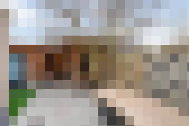 Wittemerslag 10 Wijhe thumbnail 28