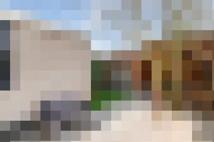 Wittemerslag 10 Wijhe thumbnail 29
