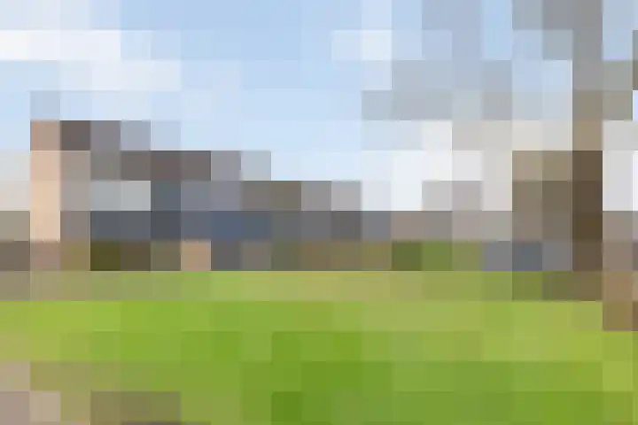 Wittemerslag 10 Wijhe foto 3