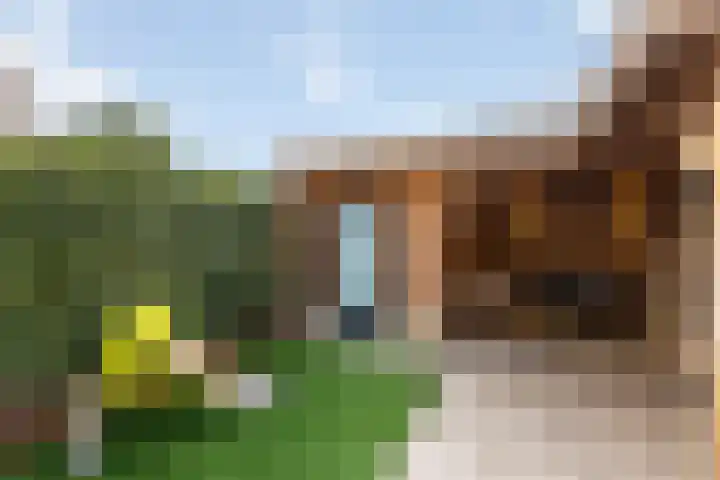 Wittemerslag 10 Wijhe thumbnail 30