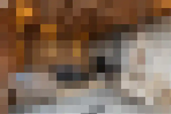 Wittemerslag 10 Wijhe thumbnail 31