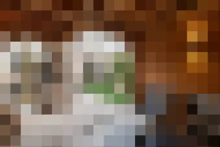 Wittemerslag 10 Wijhe thumbnail 32