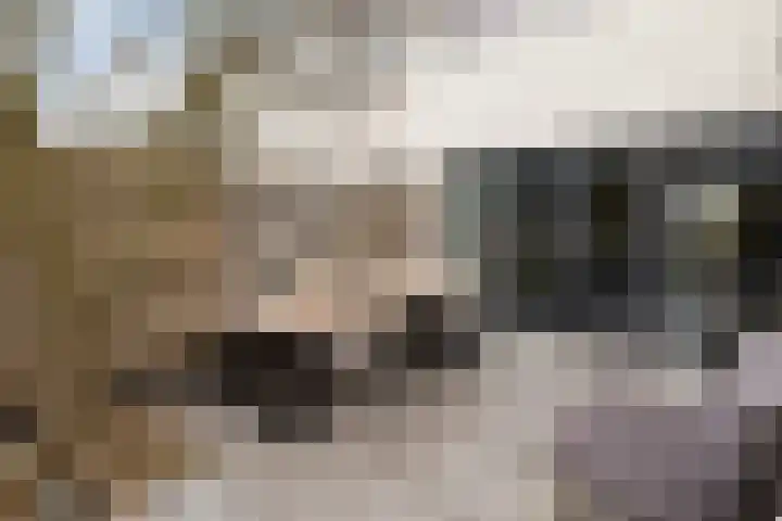 Wittemerslag 10 Wijhe thumbnail 34