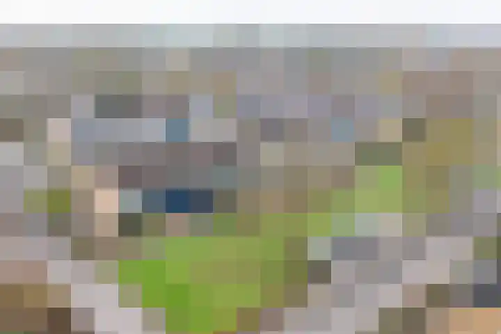Wittemerslag 10 Wijhe thumbnail 4