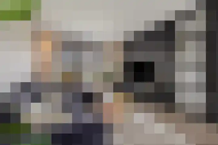 Wittemerslag 10 Wijhe thumbnail 6
