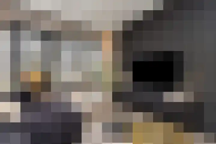 Wittemerslag 10 Wijhe thumbnail 7