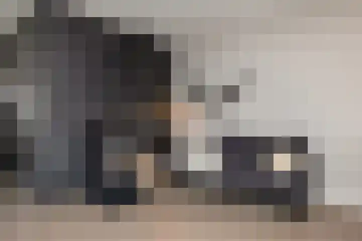 Wittemerslag 10 Wijhe thumbnail 9