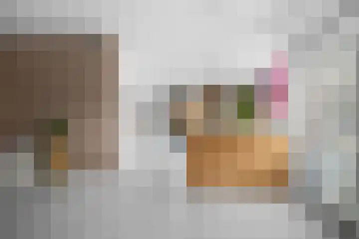 Wittemerslag 31 Wijhe thumbnail 11
