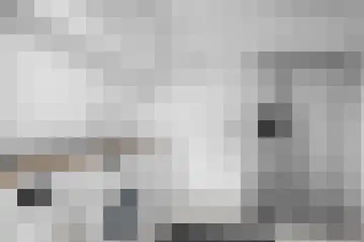 Wittemerslag 31 Wijhe thumbnail 17