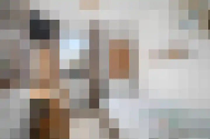 Wittemerslag 31 Wijhe thumbnail 22