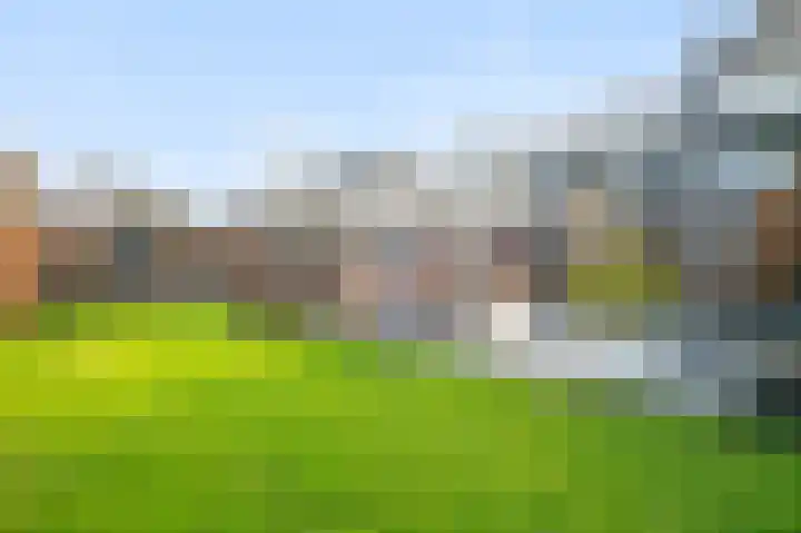 Wittemerslag 31 Wijhe thumbnail 43