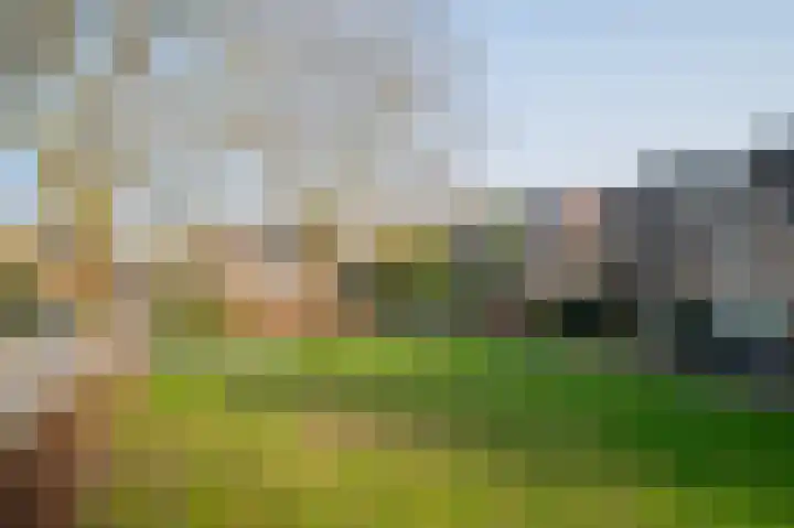 Wittemerslag 31 Wijhe thumbnail 48