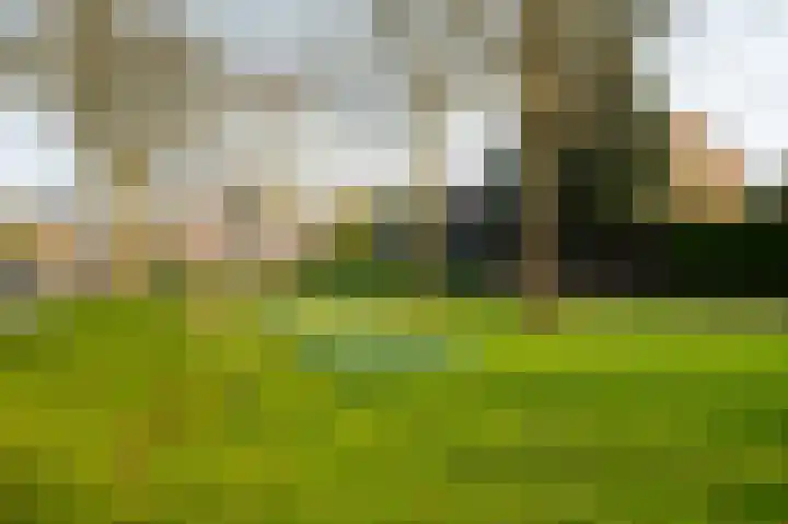Wittemerslag 31 Wijhe thumbnail 49