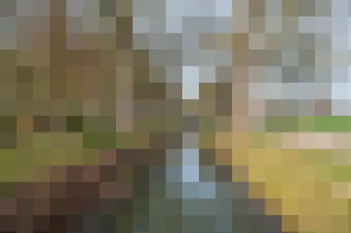 Wittemerslag 31 Wijhe thumbnail 50