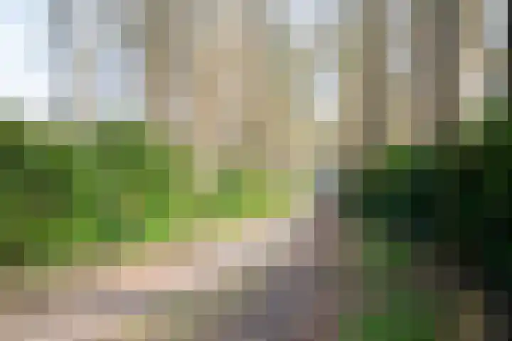Wittemerslag 31 Wijhe thumbnail 51