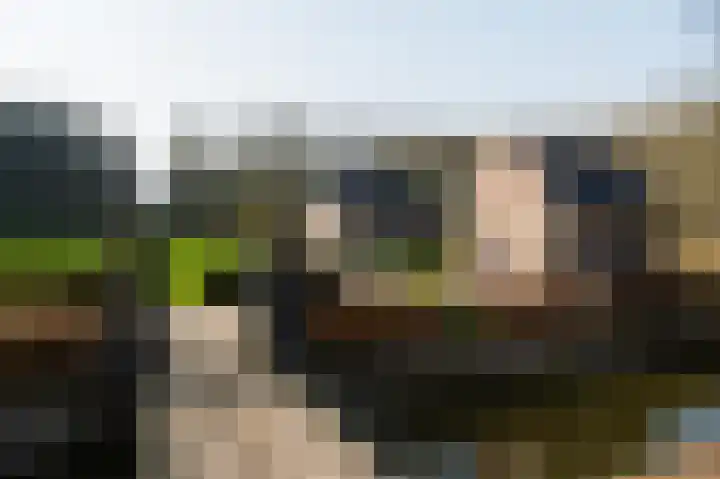 Wittemerslag 31 Wijhe thumbnail 52