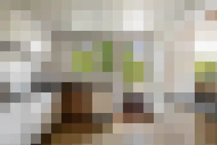 Wittemerslag 9 Wijhe thumbnail 13