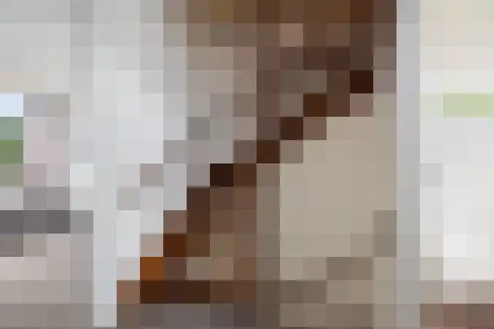 Wittemerslag 9 Wijhe thumbnail 14