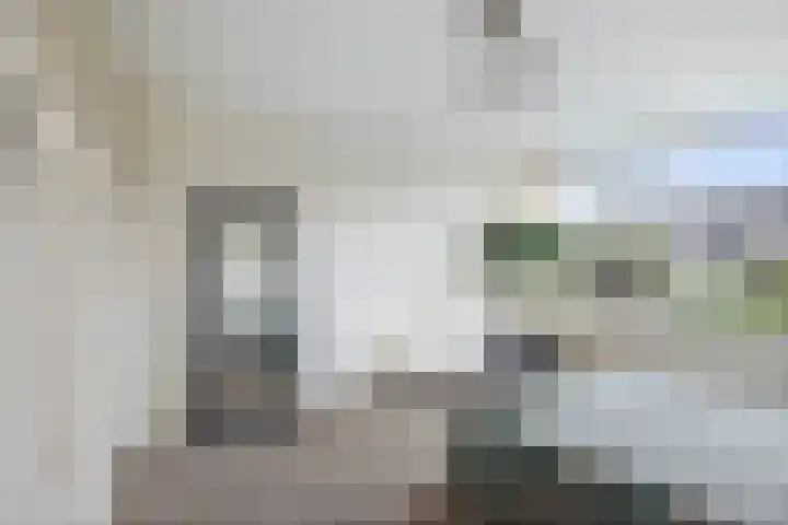 Wittemerslag 9 Wijhe thumbnail 21