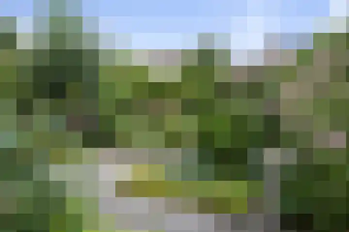 Wittemerslag 9 Wijhe thumbnail 26
