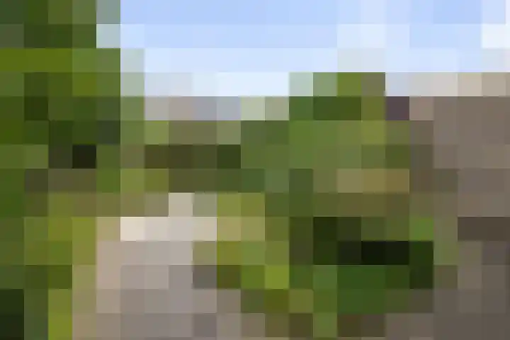 Wittemerslag 9 Wijhe thumbnail 27
