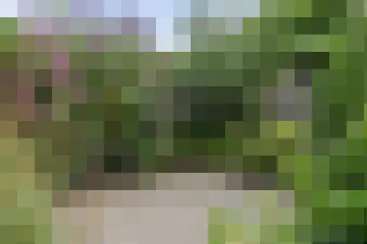 Wittemerslag 9 Wijhe thumbnail 29