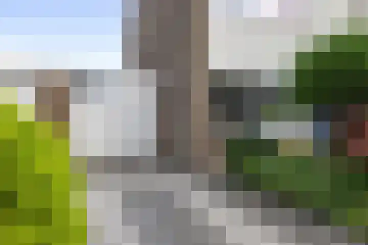 Wittemerslag 9 Wijhe thumbnail 30