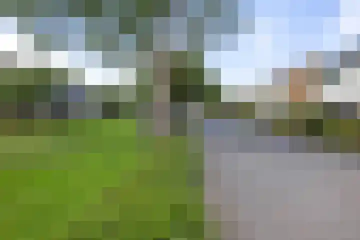 Wittemerslag 9 Wijhe thumbnail 31