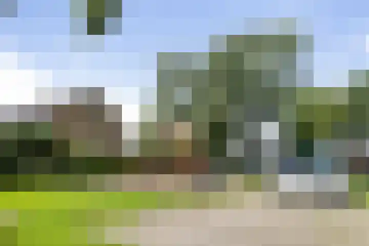 Wittemerslag 9 Wijhe thumbnail 32