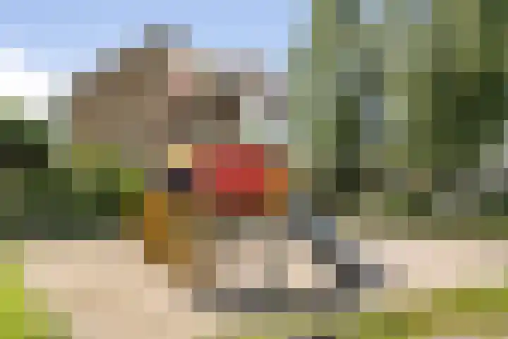 Wittemerslag 9 Wijhe thumbnail 33