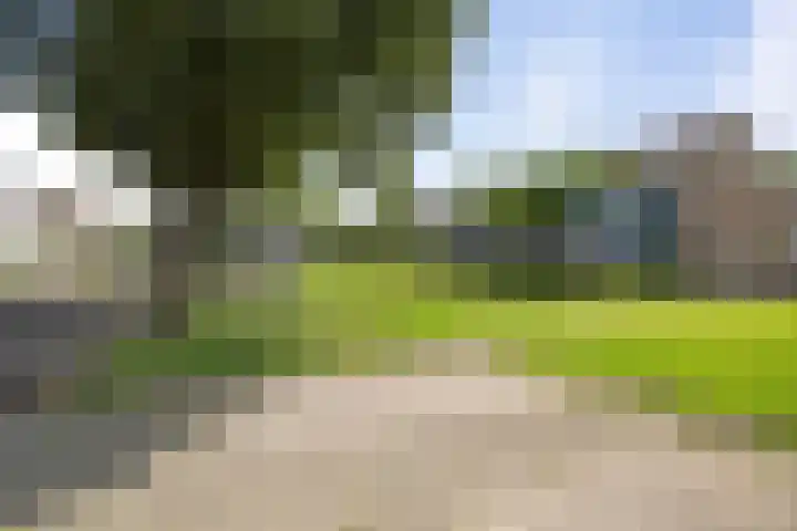 Wittemerslag 9 Wijhe thumbnail 34