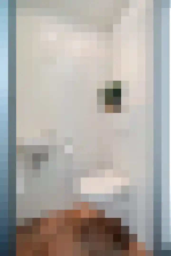 Wittemerslag 9 Wijhe thumbnail 6