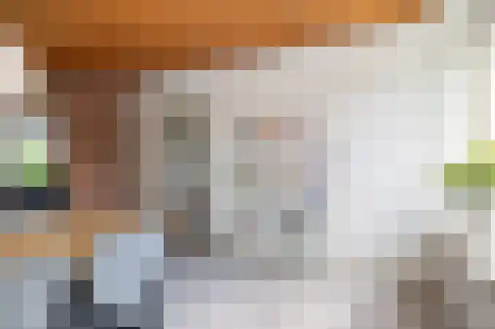Wittemerslag 9 Wijhe thumbnail 8