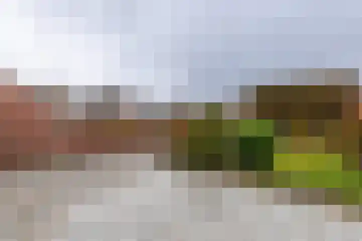Wittemerweg 13 Eys thumbnail 22