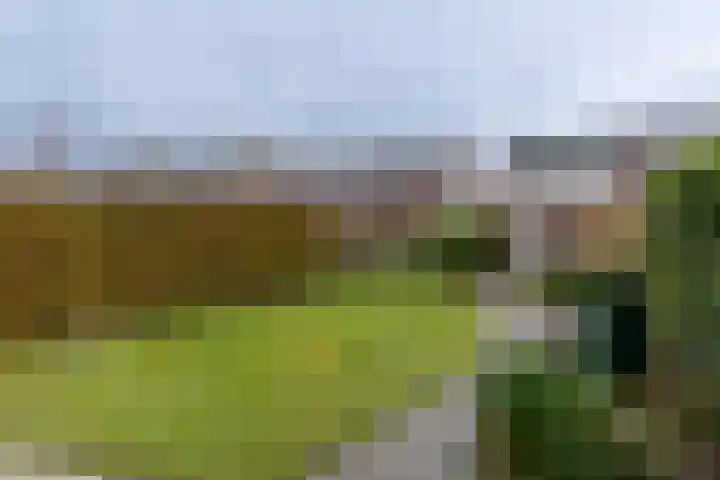 Wittemerweg 13 Eys thumbnail 24