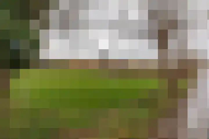 Wittemerweg 13 Eys thumbnail 26