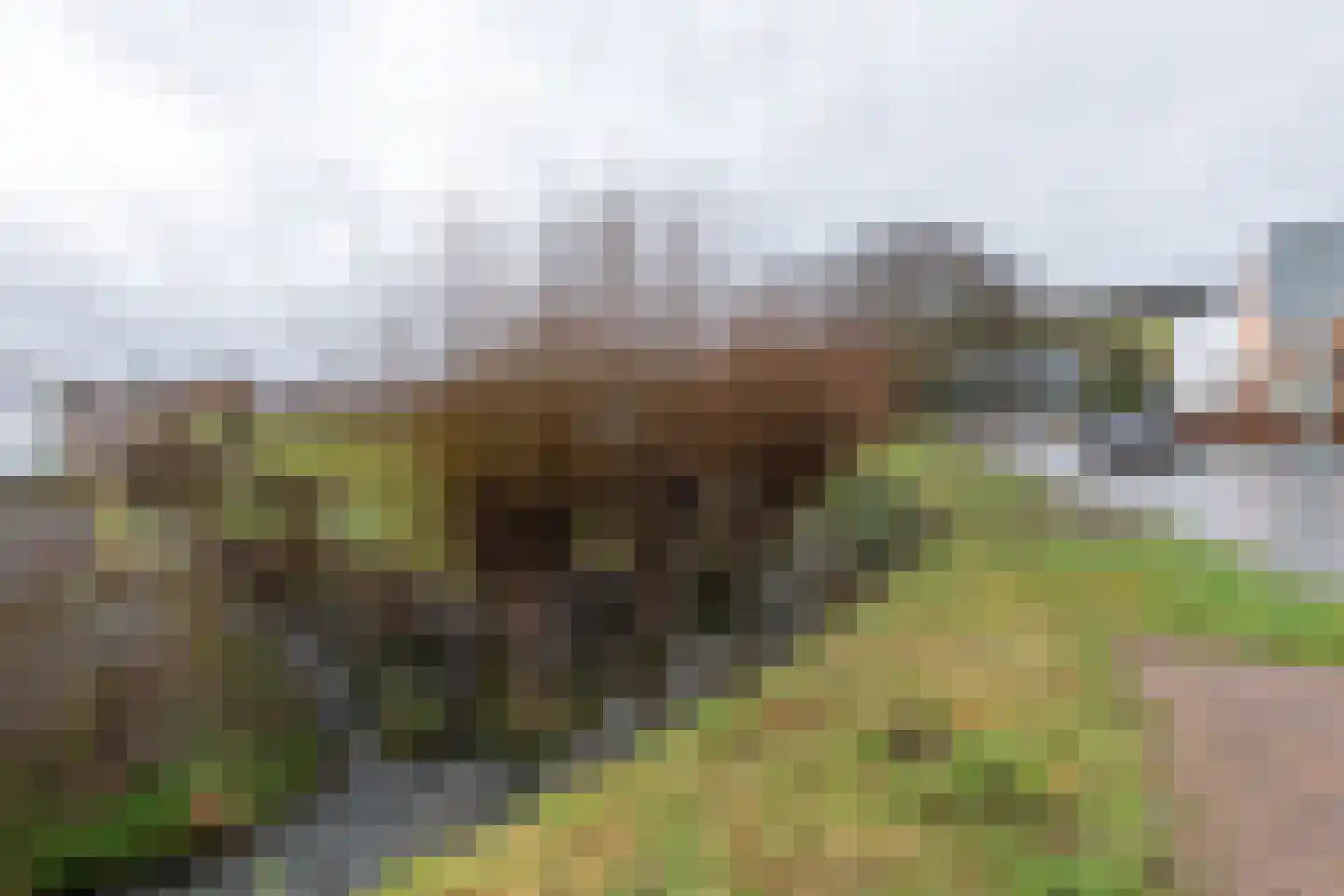 Wittemerweg 13 Eys thumbnail 27