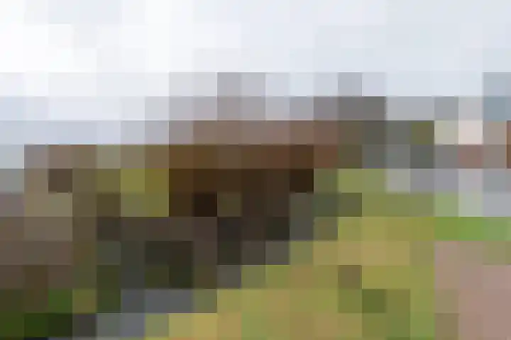 Wittemerweg 13 Eys thumbnail 27