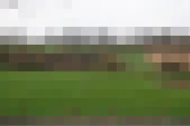 Wittemerweg 13 Eys thumbnail 28