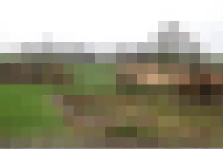 Wittemerweg 13 Eys thumbnail 29