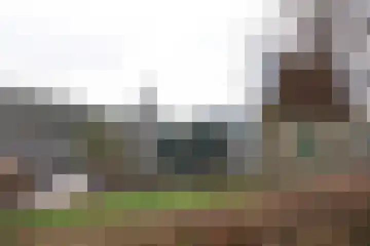 Wittemerweg 13 Eys thumbnail 30